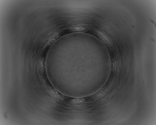 X0000093230373200709261657
