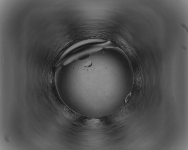 X0000093230374200709261657