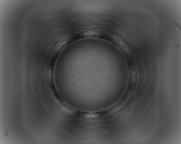 X0000093230375200709261657