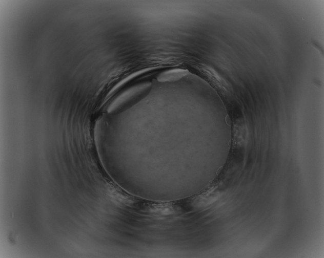 X0000093230377200709261657