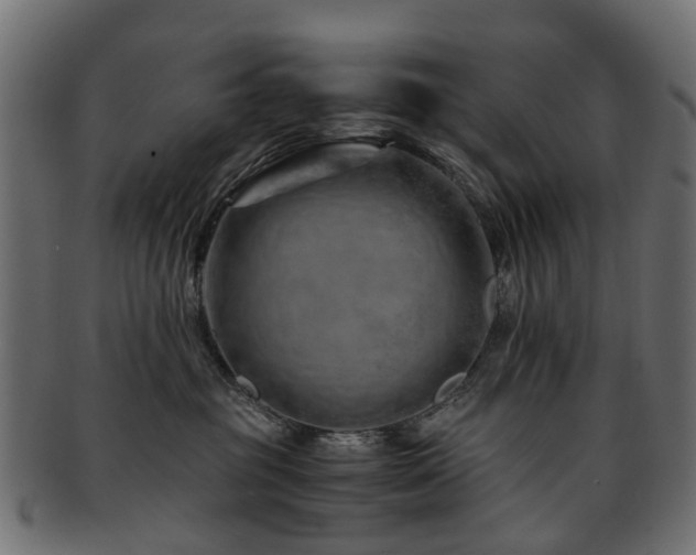 X0000093230381200709261657