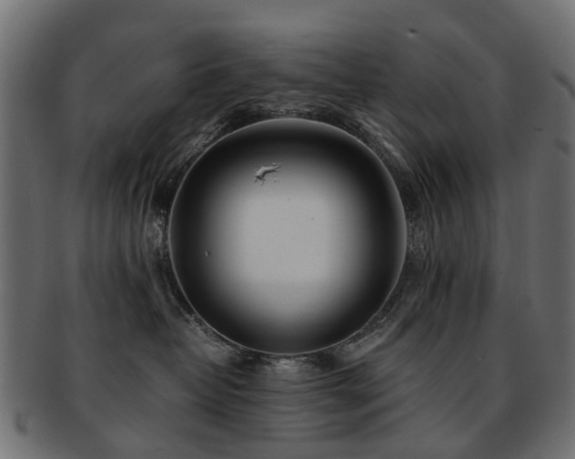 X0000093230382200709261657