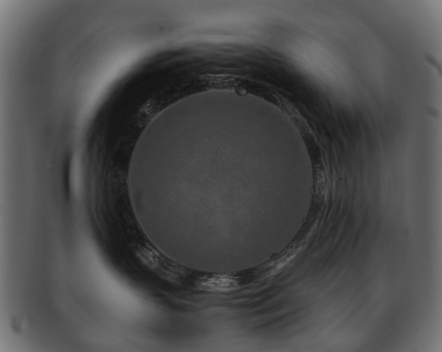X0000093230383200709261657