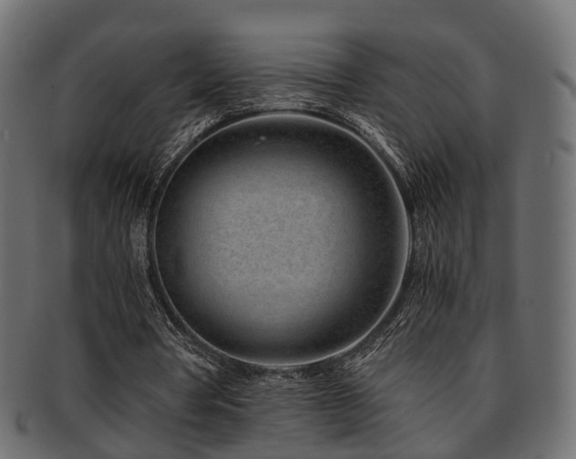X0000093230386200709261656