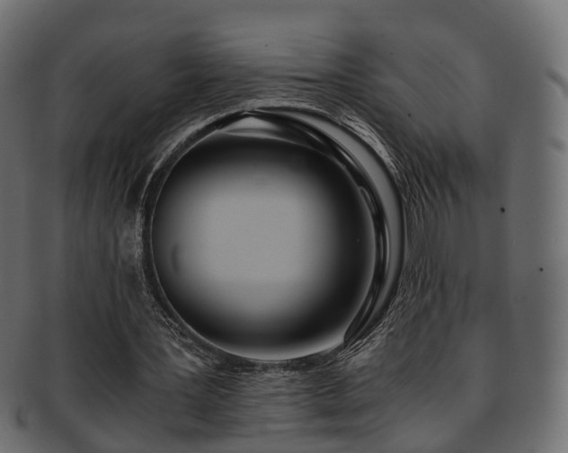 X0000093230387200709261656