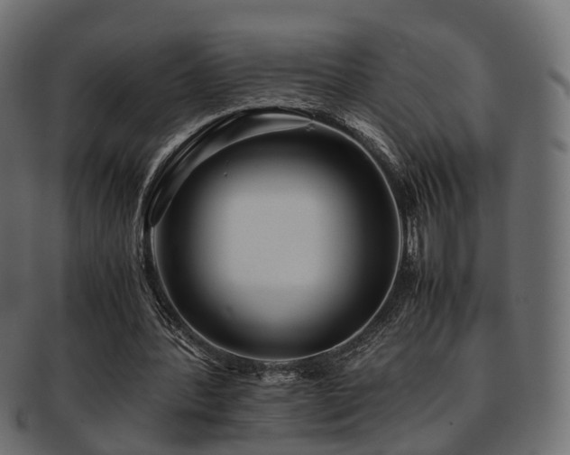 X0000093230388200709261656