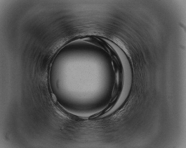 X0000093230389200709261656