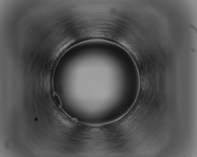 X0000093230390200709261656