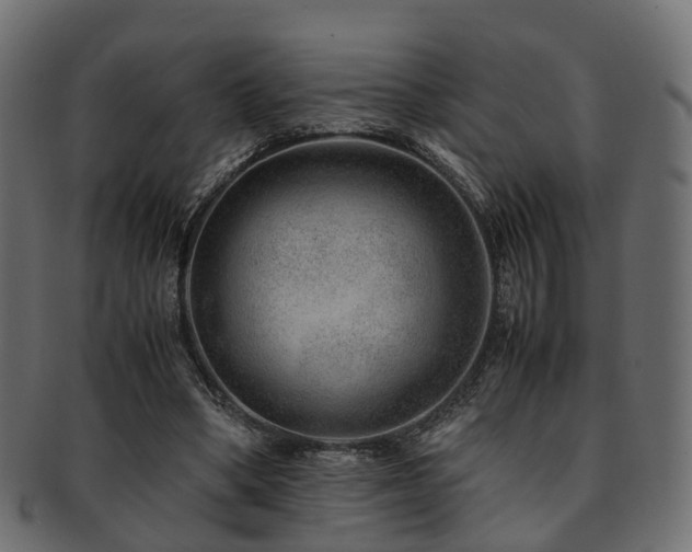 X0000093230394200709261656