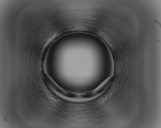 X0000093230395200709261656