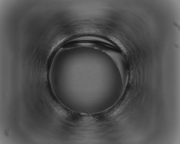 X0000093230399200709261656