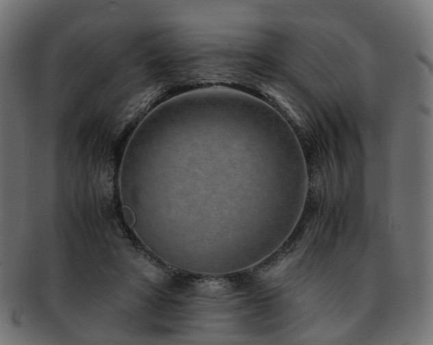 X0000093230402200709261656