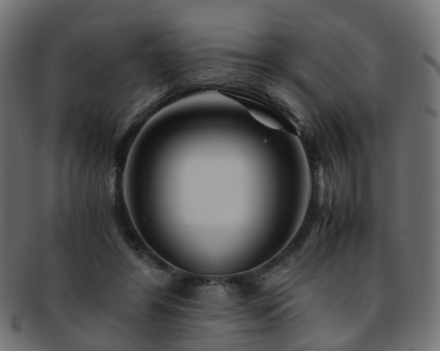 X0000093230404200709261656