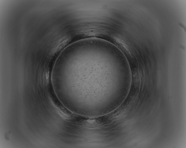 X0000093230406200709261656