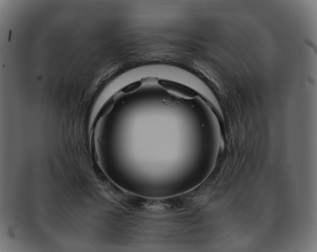 X0000093230407200709261656