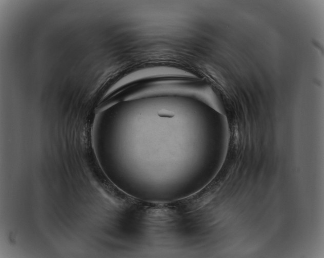 X0000093230408200709261656