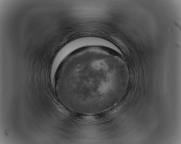X0000093230409200709261656