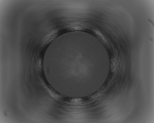 X0000093230410200709261656