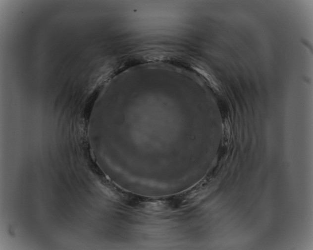 X0000093230411200709261656