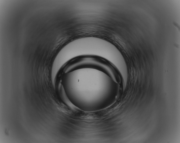 X0000093230412200709261656