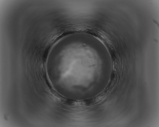 X0000093230415200709261656