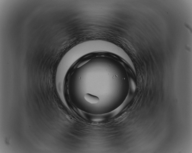 X0000093230416200709261656