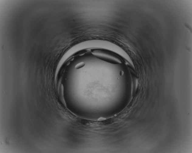 X0000093230417200709261656