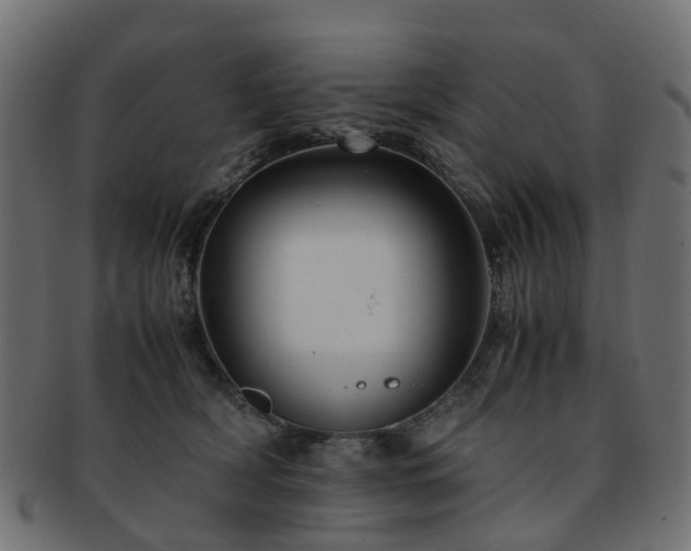 X0000093230418200709261656