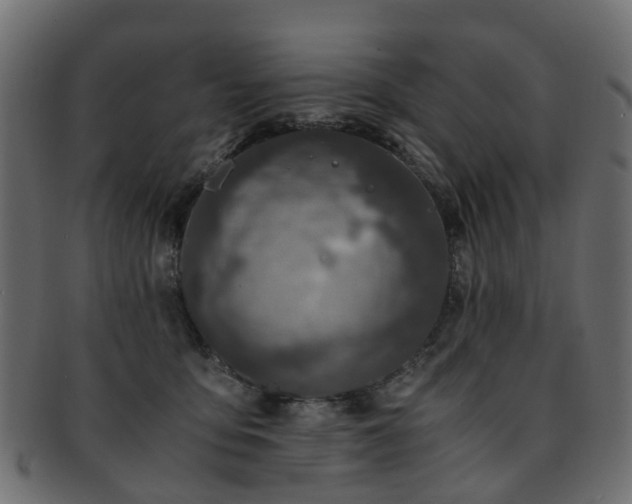 X0000093230419200709261656