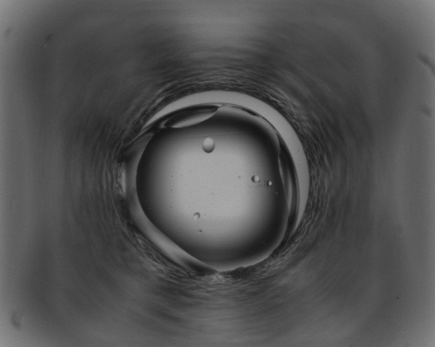 X0000093230421200709261656