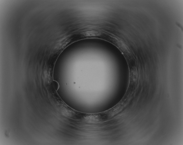 X0000093230422200709261656
