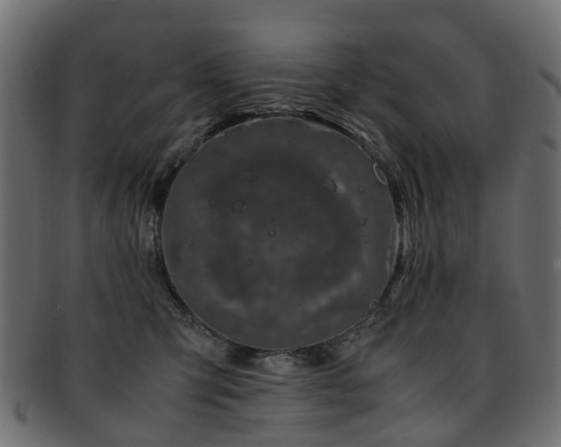 X0000093230423200709261656
