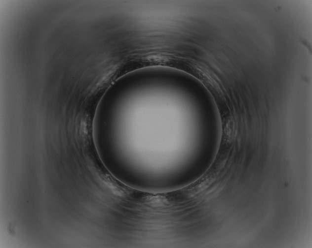 X0000093230424200709261656