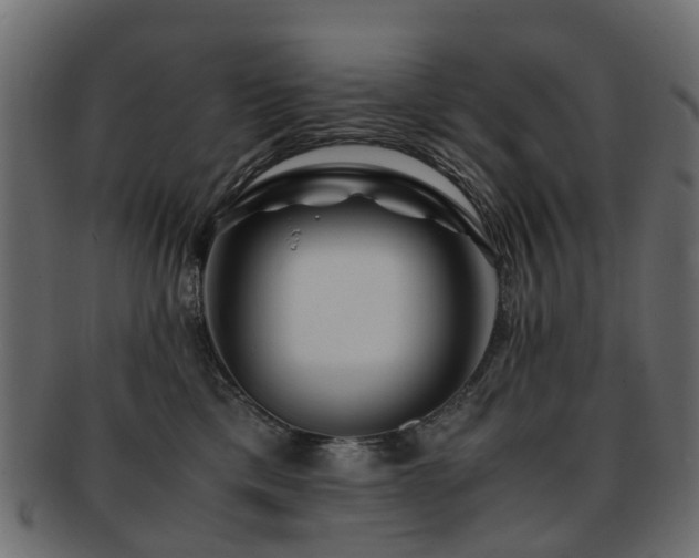 X0000093230425200709261656