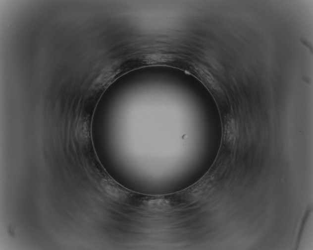 X0000093230426200709261656