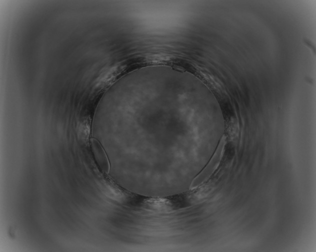 X0000093230427200709261656