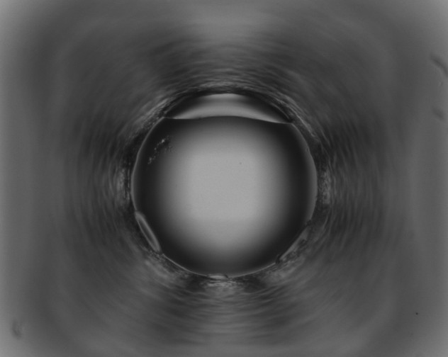 X0000093230428200709261656