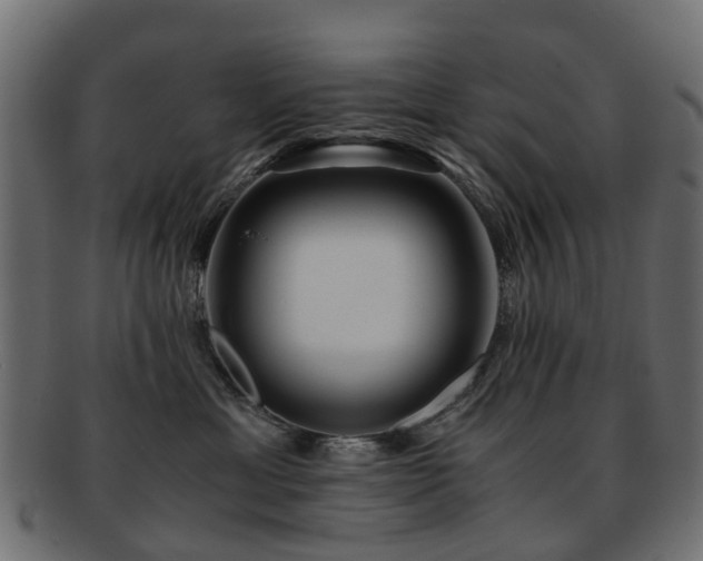 X0000093230429200709261656