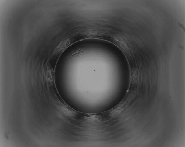 X0000093230430200709261656