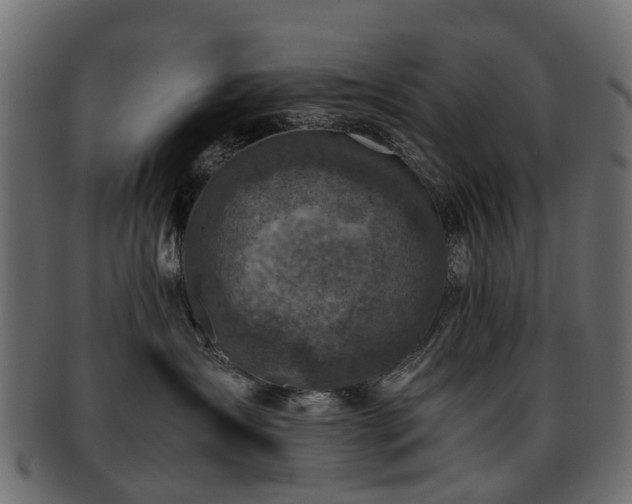 X0000093230431200709261656