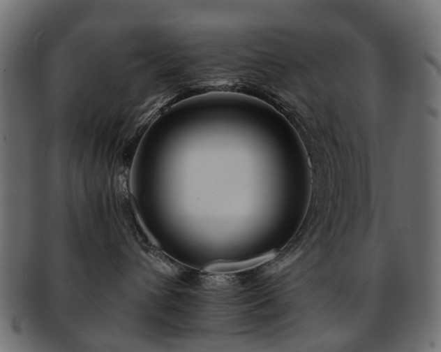 X0000093230432200709261656