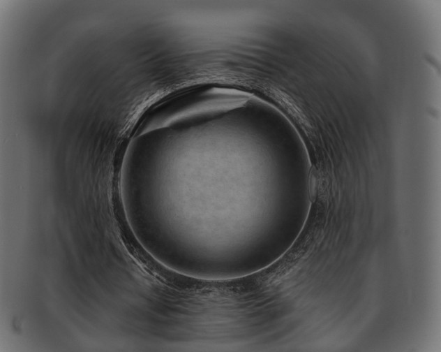 X0000093230434200709261655
