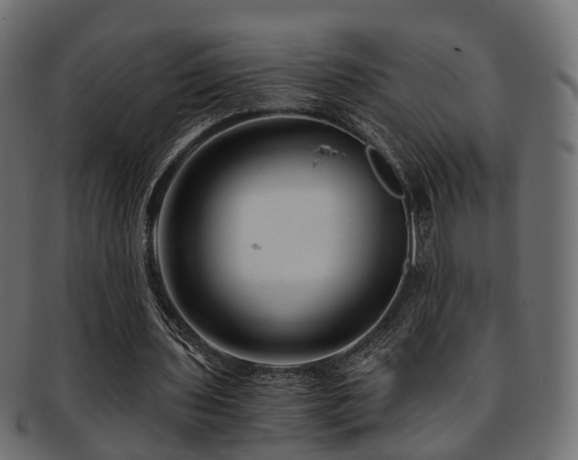 X0000093230435200709261655