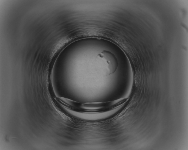 X0000093230438200709261655