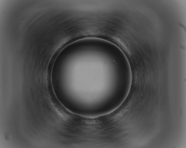 X0000093230439200709261655