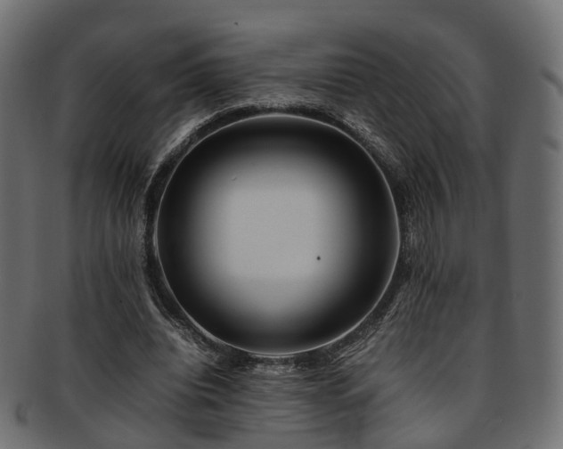 X0000093230440200709261655