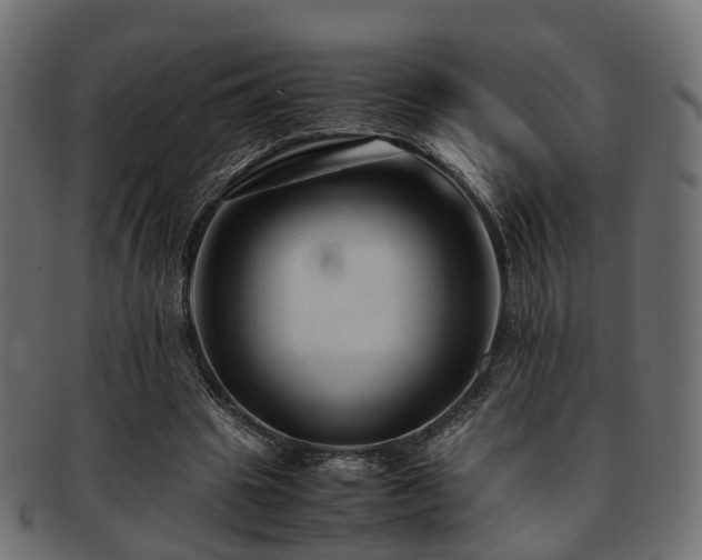 X0000093230441200709261655