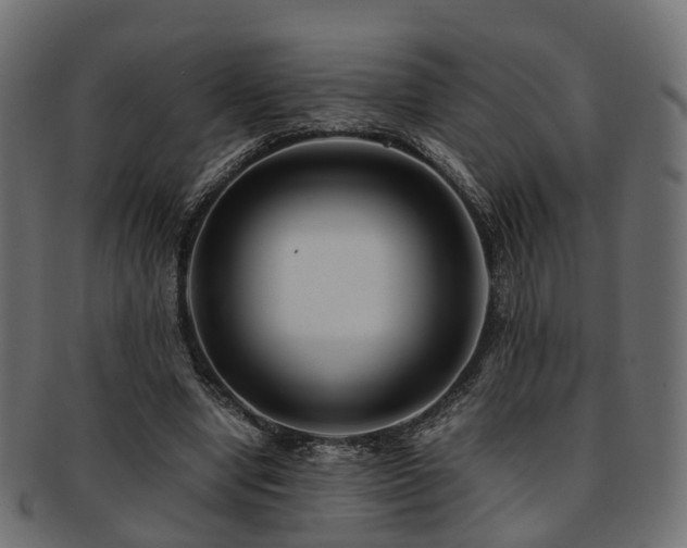 X0000093230442200709261655