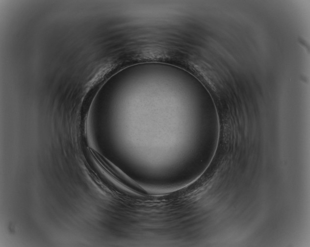 X0000093230443200709261655