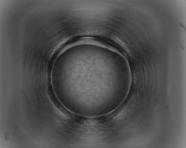 X0000093230444200709261655
